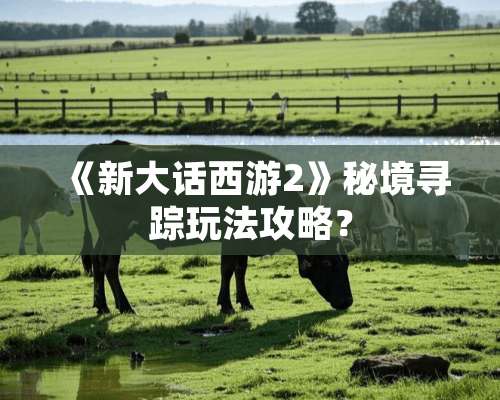 《新大话西游2》秘境寻踪玩法攻略？