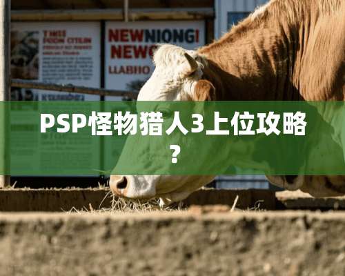 PSP怪物猎人3上位攻略？