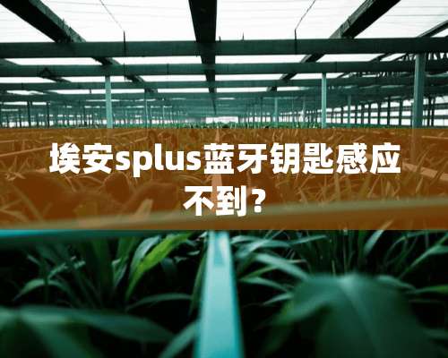 埃安splus蓝牙钥匙感应不到？