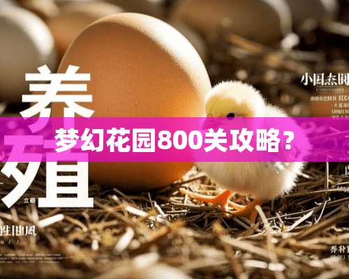 梦幻花园800关攻略？