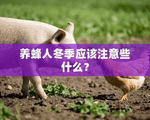 养蜂人冬季应该注意些什么？