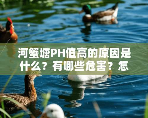 河蟹塘PH值高的原因是什么？有哪些危害？怎么解决？