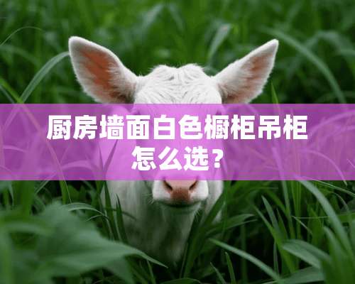 厨房墙面白色橱柜吊柜怎么选？