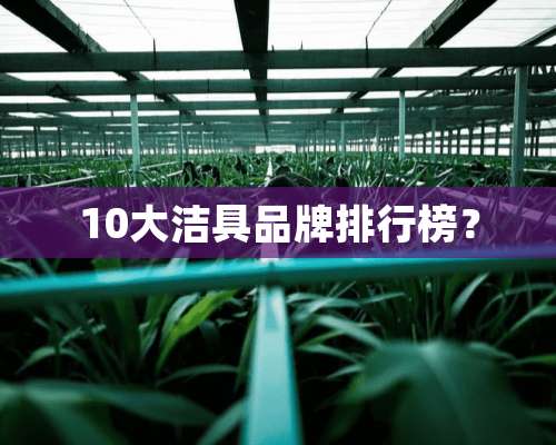 10大洁具品牌排行榜？