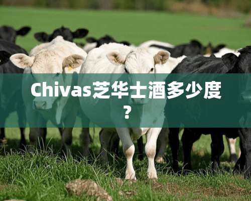 Chivas芝华士酒多少度？