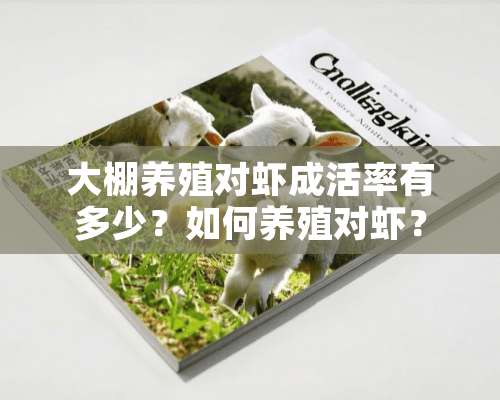 大棚养殖对虾成活率有多少？如何养殖对虾？