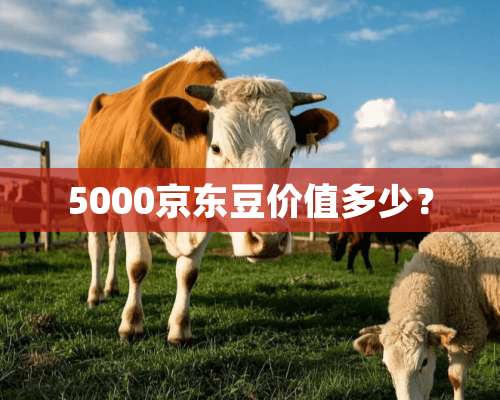 5000京东豆价值多少？