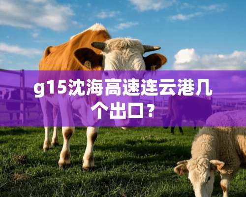 g15沈海高速连云港几个出口？