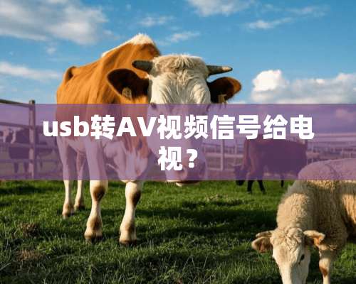 usb转AV视频信号给电视？