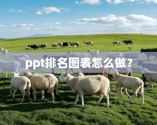 ppt排名图表怎么做？