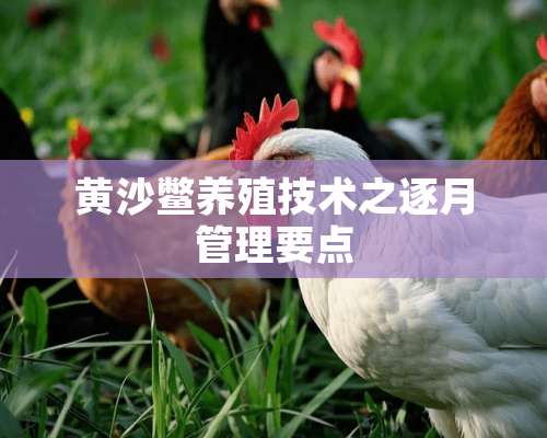 黄沙鳖养殖技术之逐月管理要点