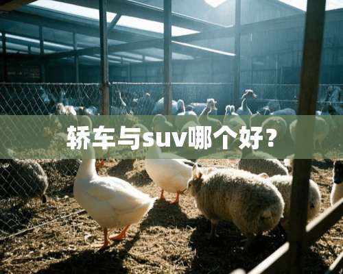 轿车与suv哪个好？