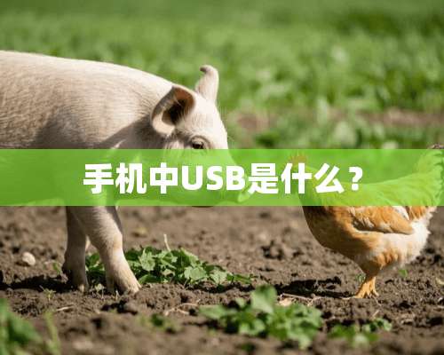 手机中USB是什么？