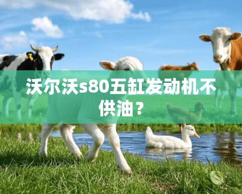 沃尔沃s80五缸发动机不供油？