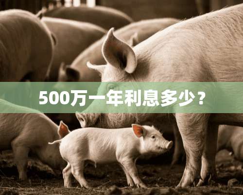 500万一年利息多少？