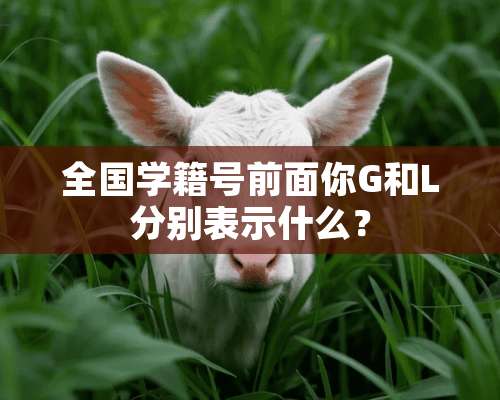 全国学籍号前面你G和L分别表示什么？