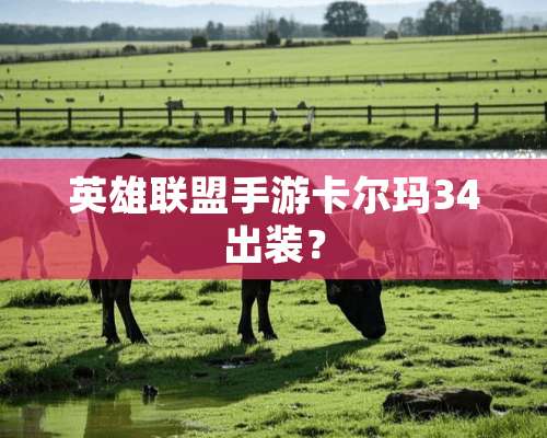 英雄联盟手游卡尔玛34出装？