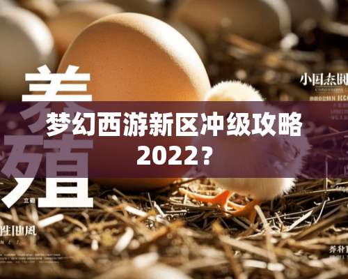 梦幻西游新区冲级攻略2022？