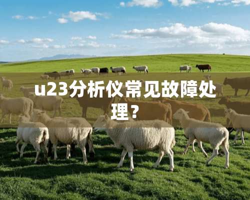 u23分析仪常见故障处理？