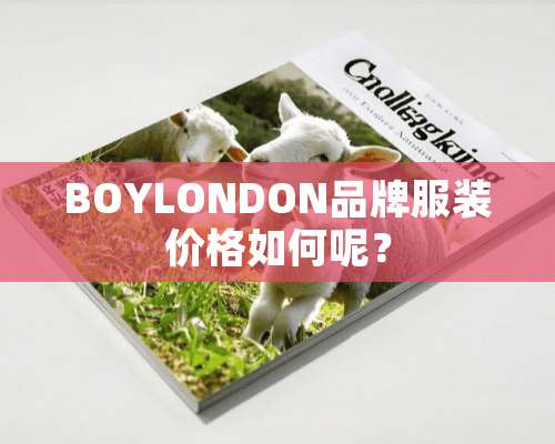 BOYLONDON品牌服装价格如何呢？