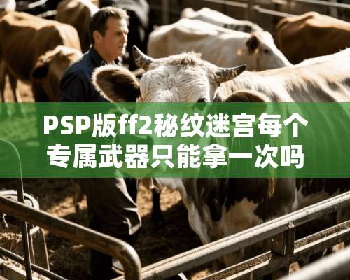 PSP版ff2秘纹迷宫每个专属**只能拿一次吗？