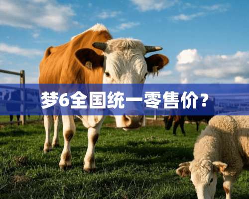 梦6全国统一零售价？