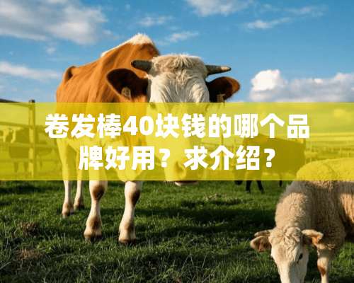 卷发棒40块钱的哪个品牌好用？求介绍？