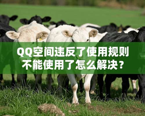 QQ空间违反了使用规则不能使用了怎么解决？