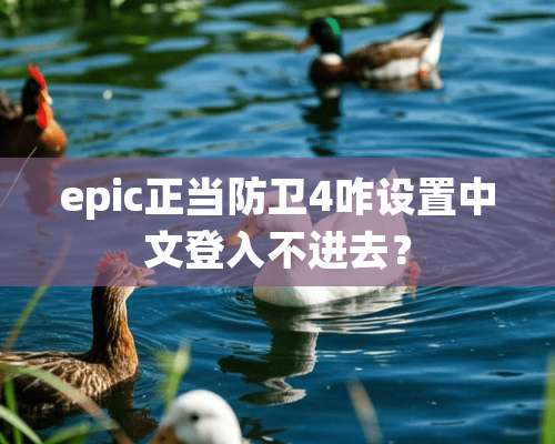 epic正当防卫4咋设置中文登入不进去？