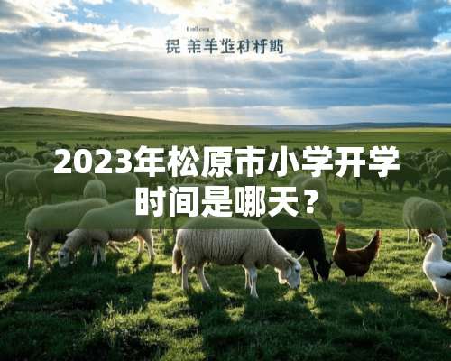 2023年松原市小学开学时间是哪天？