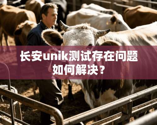 长安unik测试存在问题如何解决？