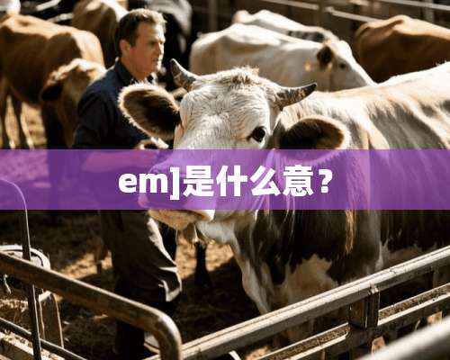 em]是什么意？