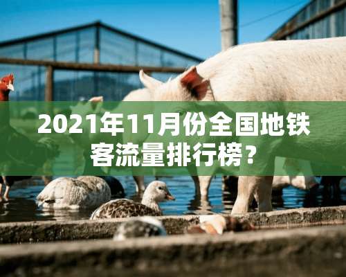 2021年11月份全国地铁客流量排行榜？