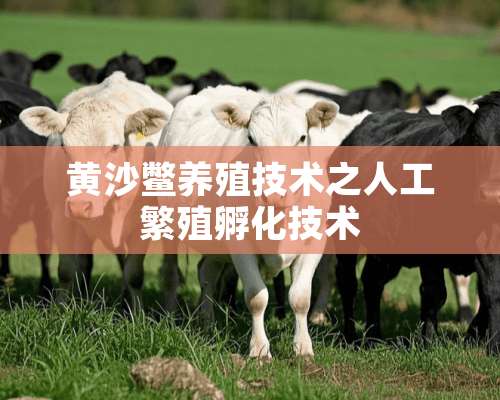 黄沙鳖养殖技术之人工繁殖孵化技术