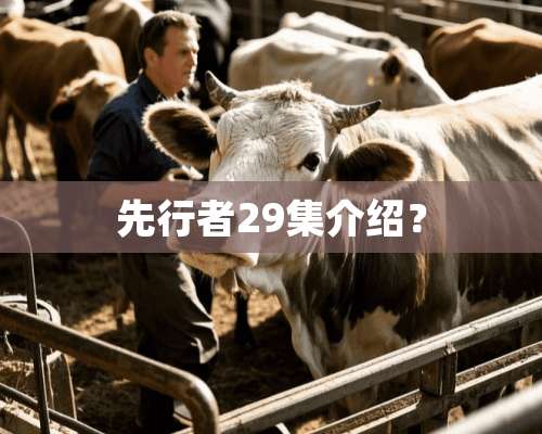 先行者29集介绍？