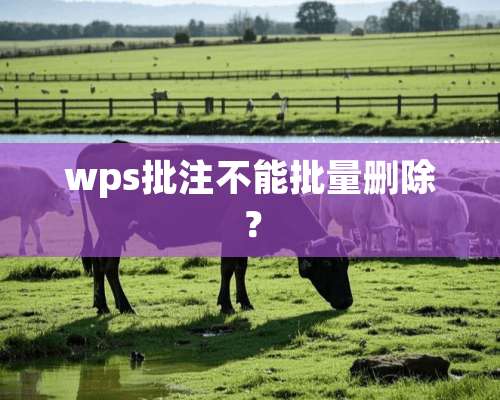 wps批注不能批量删除？