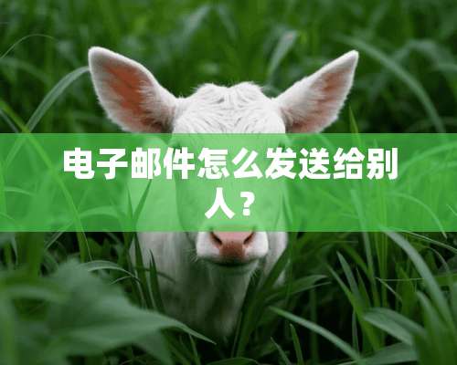 电子邮件怎么发送给别人？