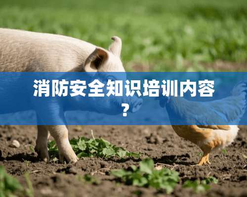 消防安全知识培训内容？