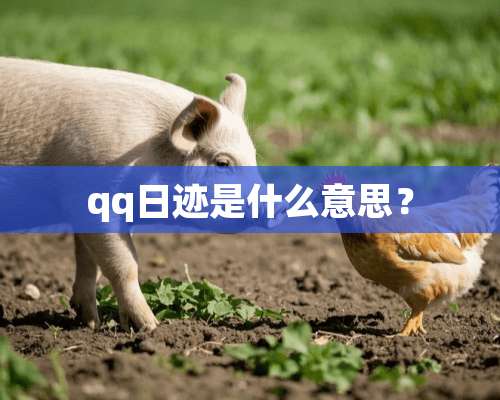 qq日迹是什么意思？