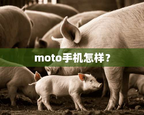 moto手机怎样？