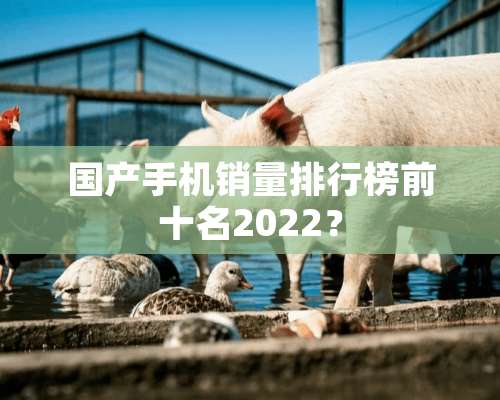 国产手机销量排行榜前十名2022？