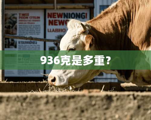 936克是多重？