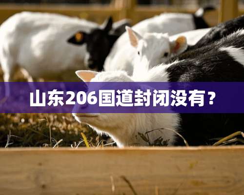 山东206国道封闭没有？