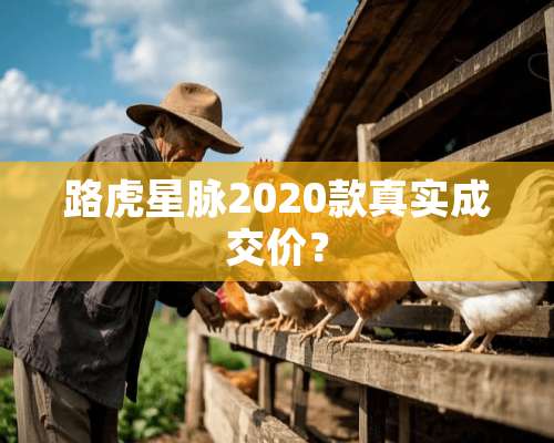 路虎星脉2020款真实成交价？