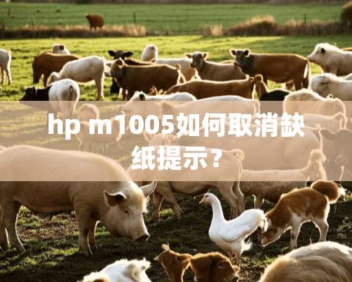 hp m1005如何取消缺纸提示？