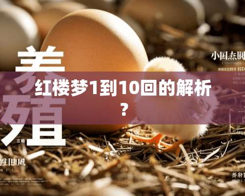 红楼梦1到10回的解析？