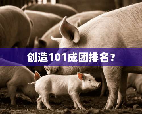 创造101成团排名？