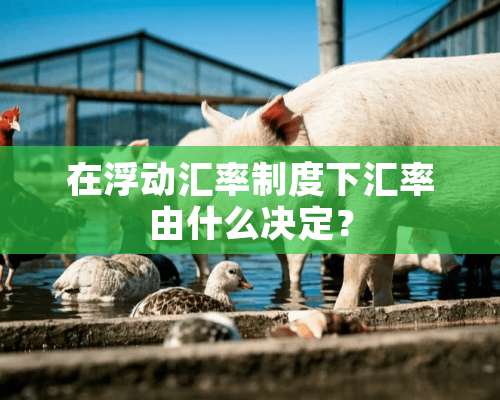 在浮动汇率制度下汇率由什么决定？