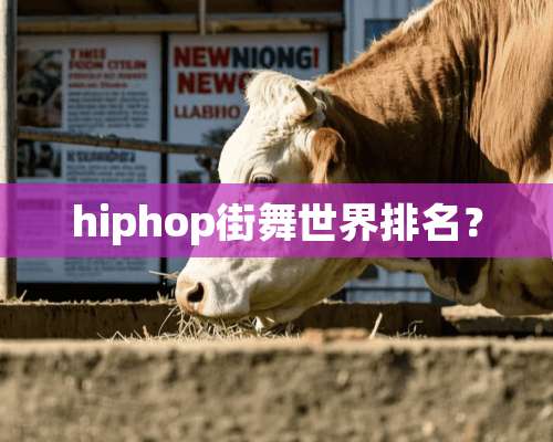 hiphop街舞世界排名？