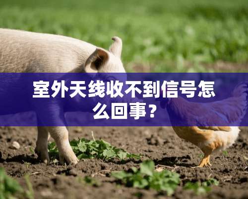 室外天线收不到信号怎么回事？